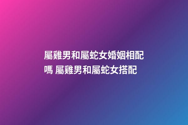 屬雞男和屬蛇女婚姻相配嗎 屬雞男和屬蛇女搭配-第1張-觀點-玄機派